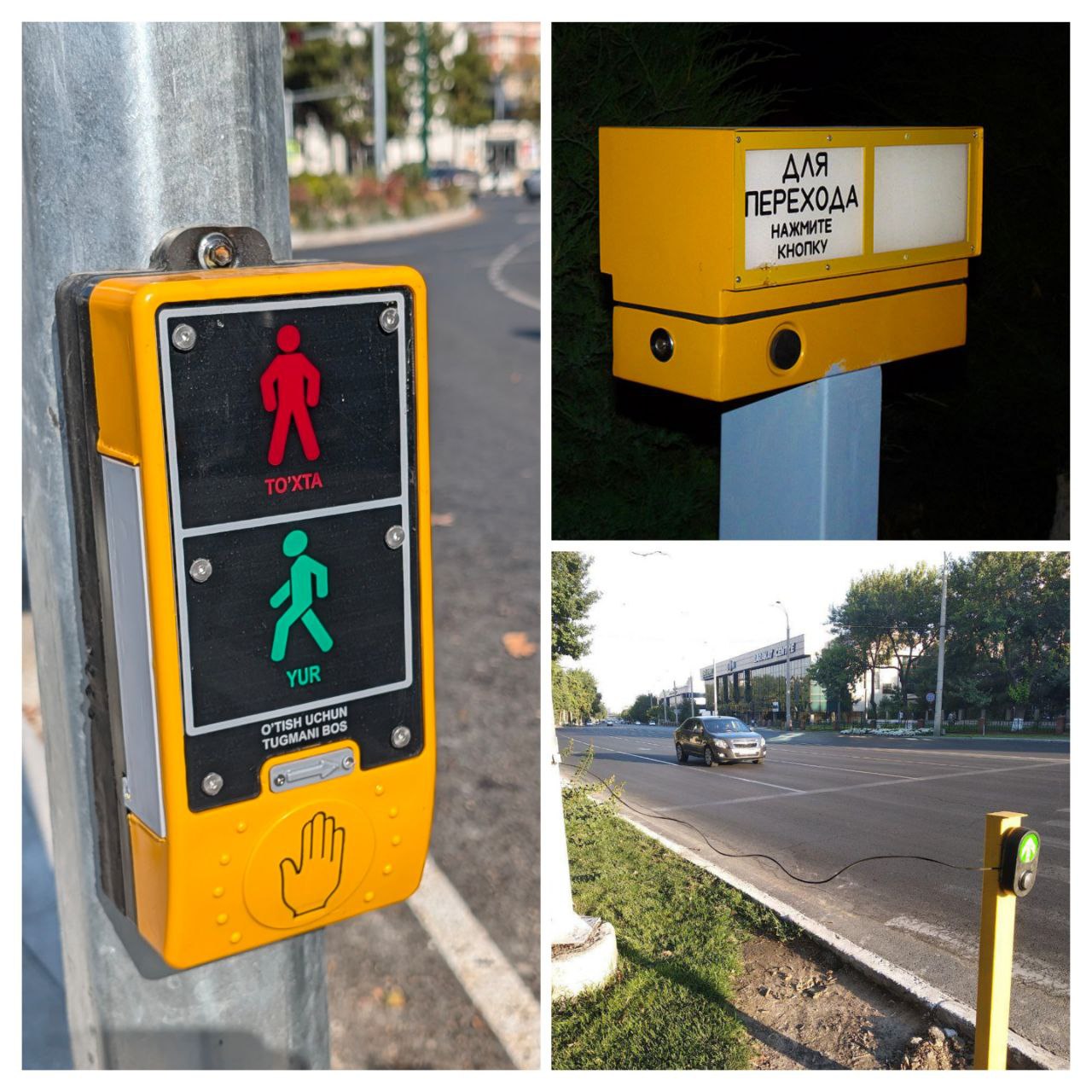 photo 2025-10-29 13-50-38