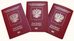 1390482493 pasport