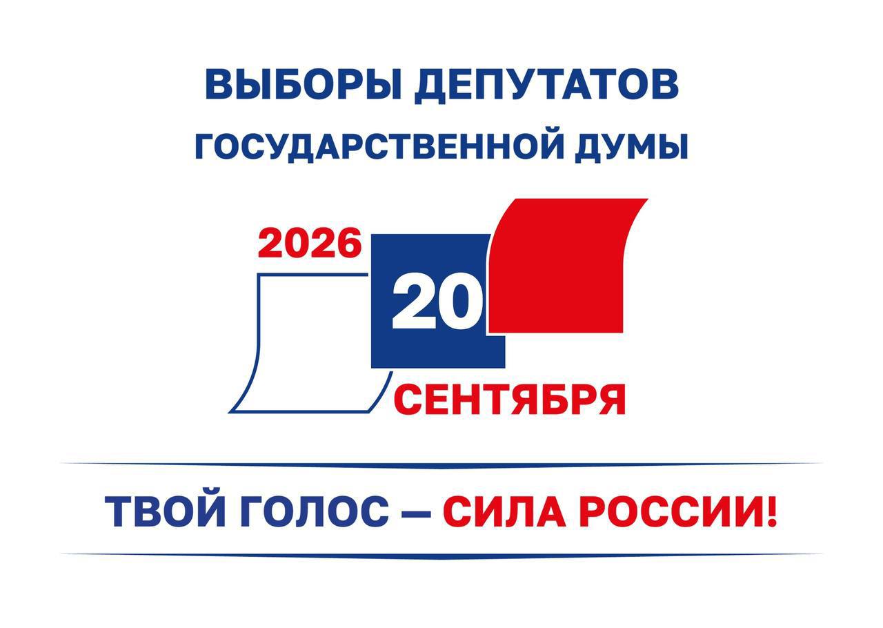 выборы